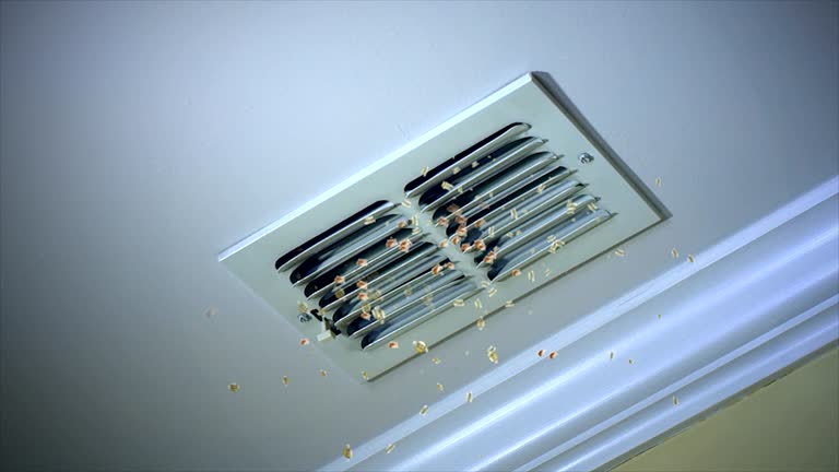 Best Ductwork Cleaning Services  in Gardner, IL