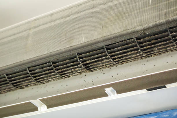 Best Professional Duct Cleaning Services  in Gardner, IL